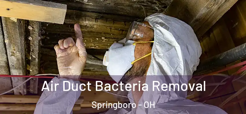 Air Duct Bacteria Removal Springboro - OH