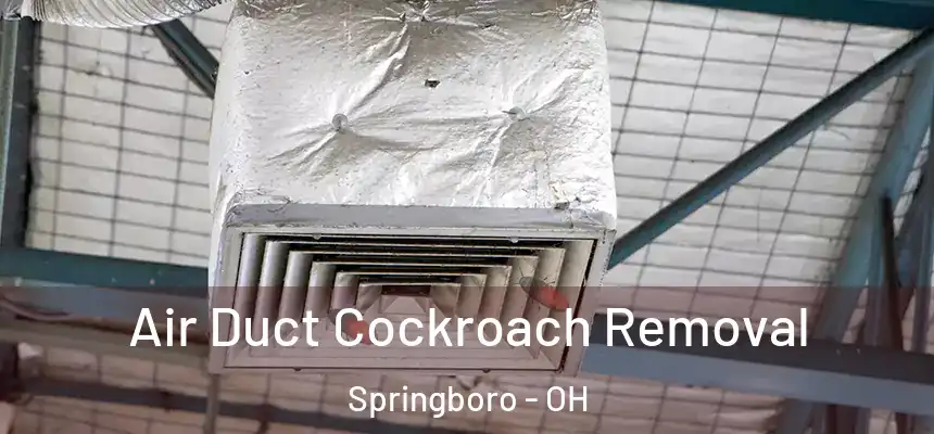 Air Duct Cockroach Removal Springboro - OH