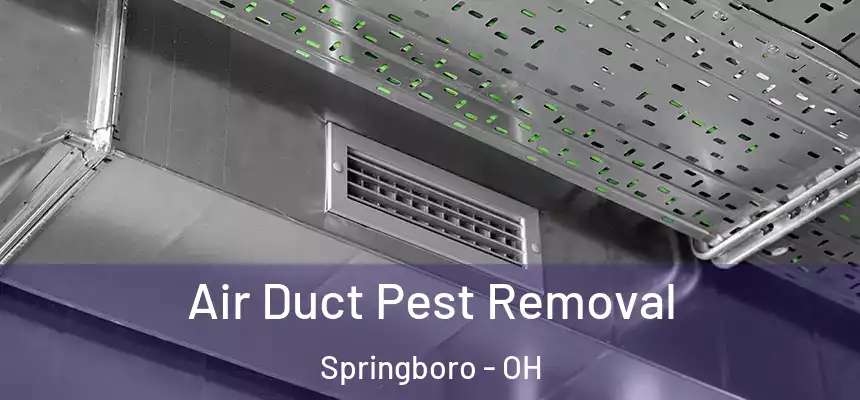Air Duct Pest Removal Springboro - OH