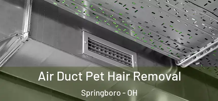  Air Duct Pet Hair Removal Springboro - OH