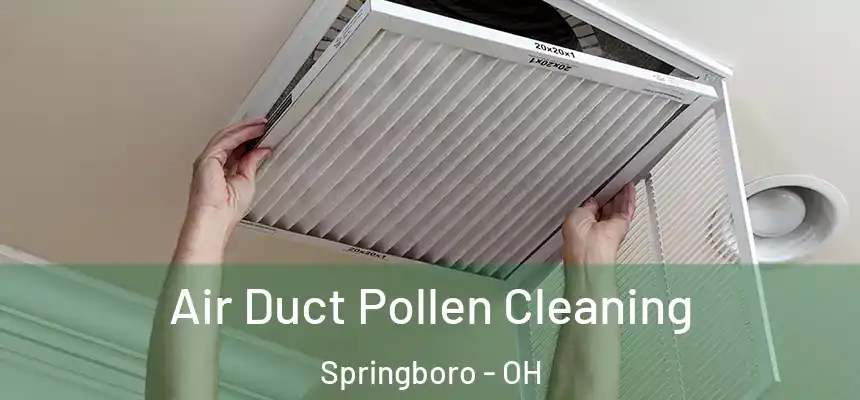 Air Duct Pollen Cleaning Springboro - OH