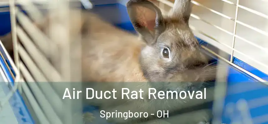  Air Duct Rat Removal Springboro - OH