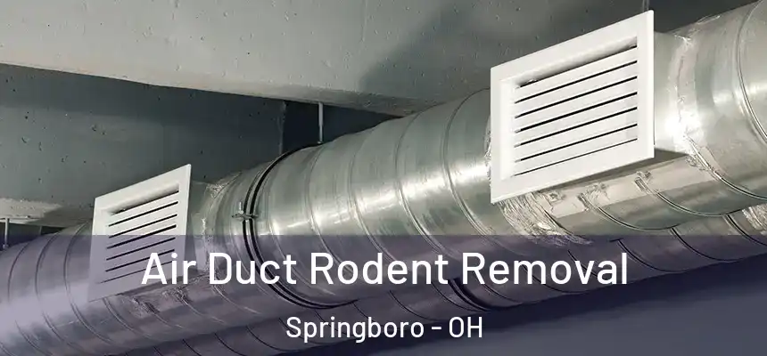 Air Duct Rodent Removal Springboro - OH