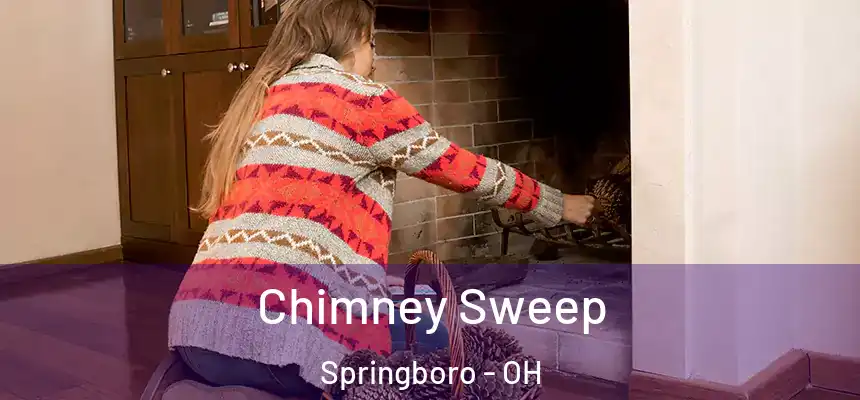Chimney Sweep Springboro - OH