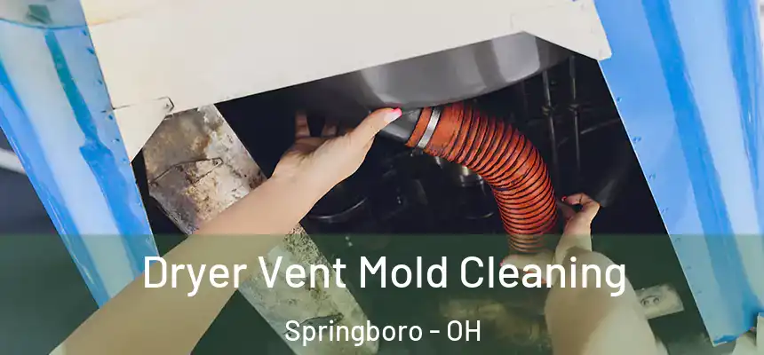 Dryer Vent Mold Cleaning Springboro - OH