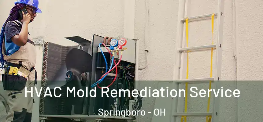  HVAC Mold Remediation Service Springboro - OH
