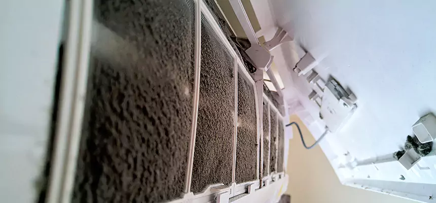 Preventive Air Duct Bacteria Removal in Springboro