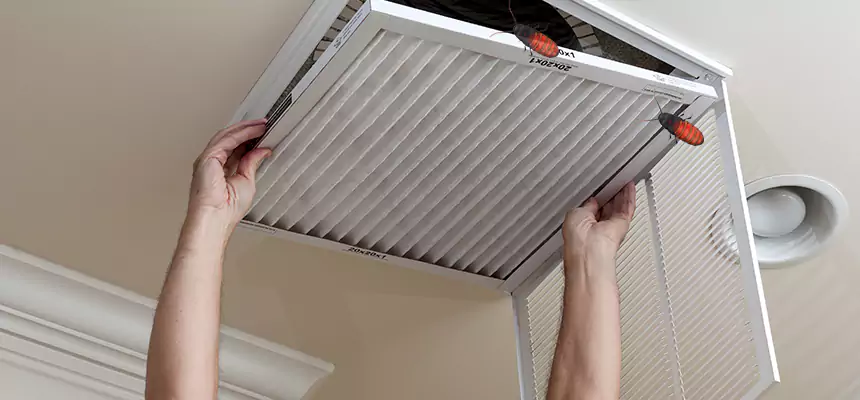 Preventive Cockroach-Proofing for Ducts in Springboro