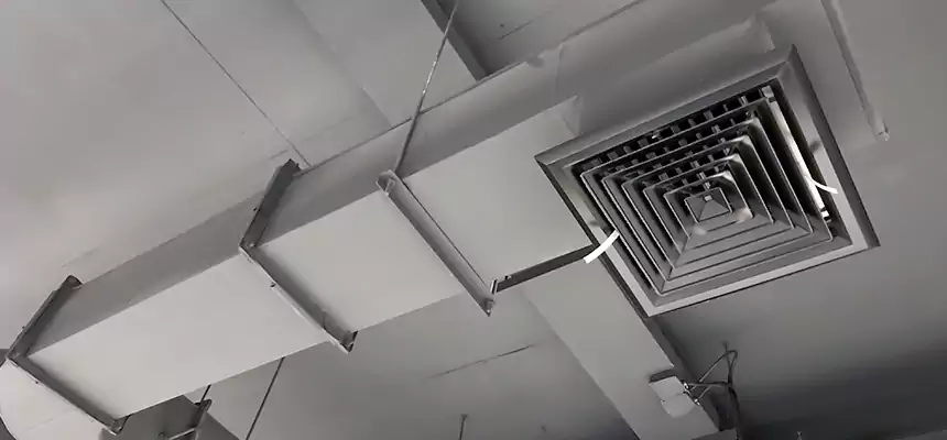 Our Pest Removal From Ducts Services in Springboro, OH