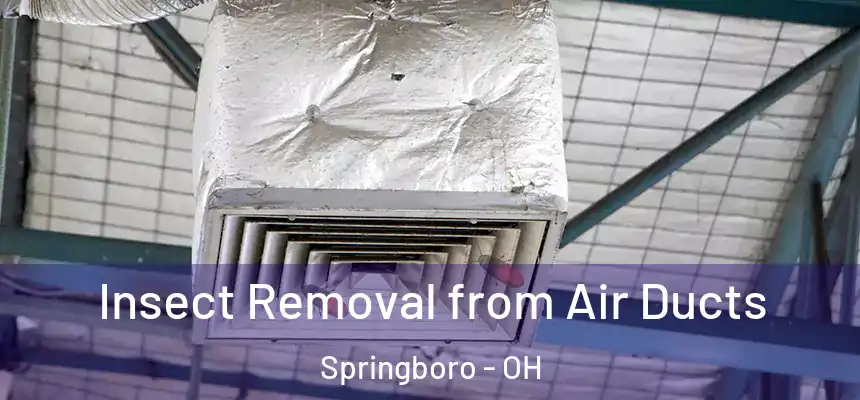 Insect Removal from Air Ducts Springboro - OH