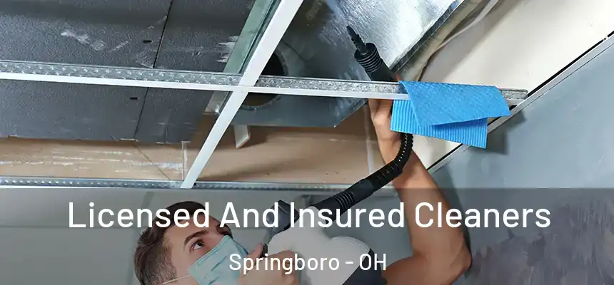 Licensed And Insured Cleaners Springboro - OH