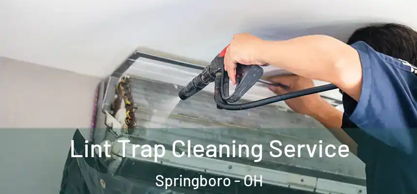Lint Trap Cleaning Service Springboro - OH