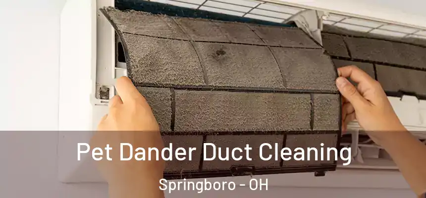 Pet Dander Duct Cleaning Springboro - OH