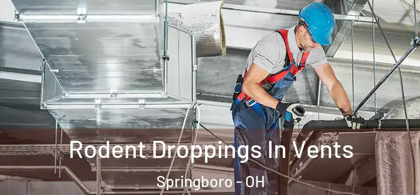 Rodent Droppings In Vents Springboro - OH