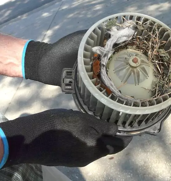 About Air Duct Rat Removal in Springboro, OH