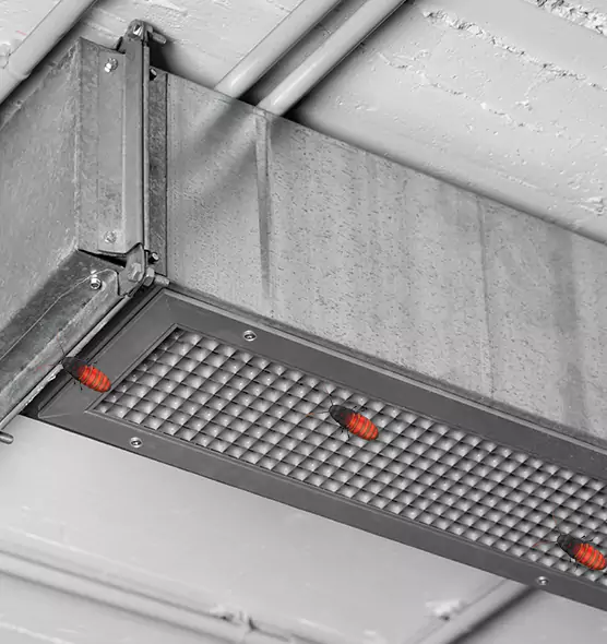 Affordable Insect Removal from Air Ducts in Springboro, OH