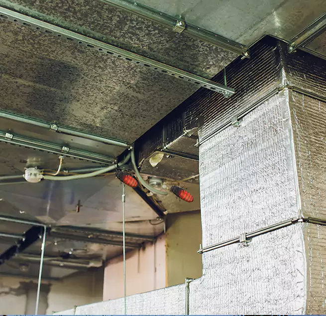 Why Homeowners & Businesses Trust Us in Springboro, OH?