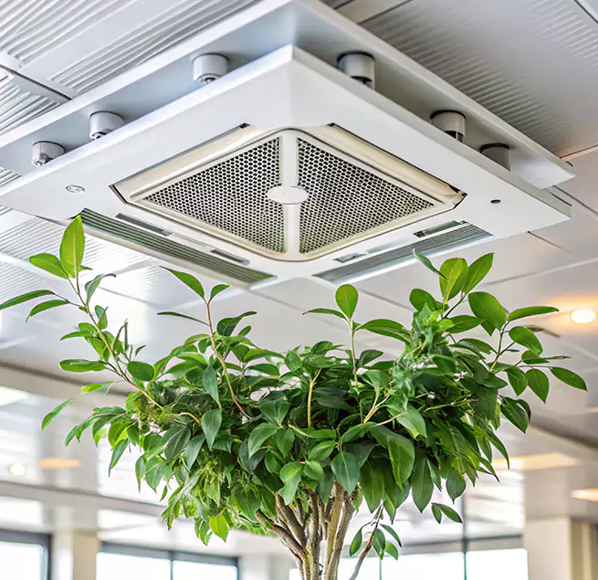 Why Homeowners & Businesses Trust Us in Springboro, OH?