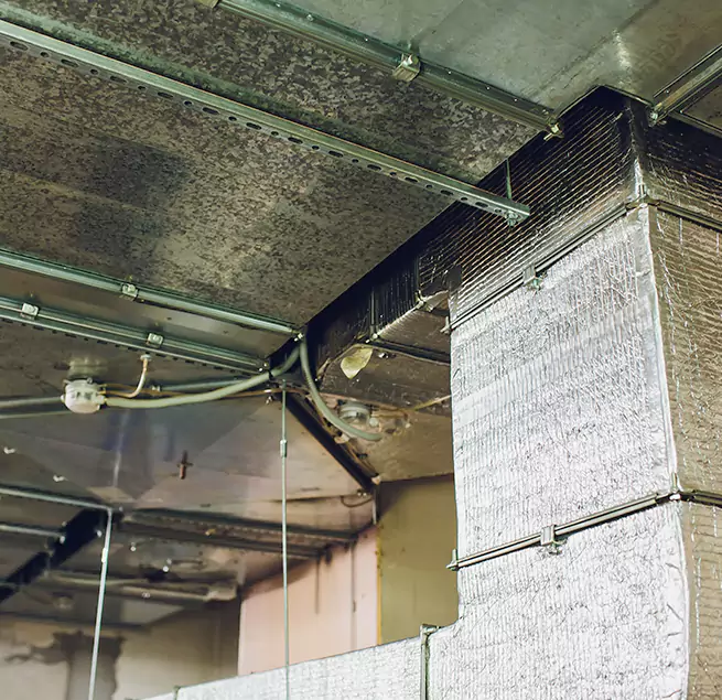 Why Homeowners & Businesses Trust Us in Springboro, OH?